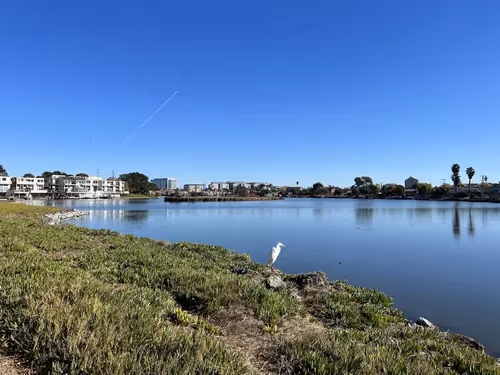 Bayside-Joinville Dog Park